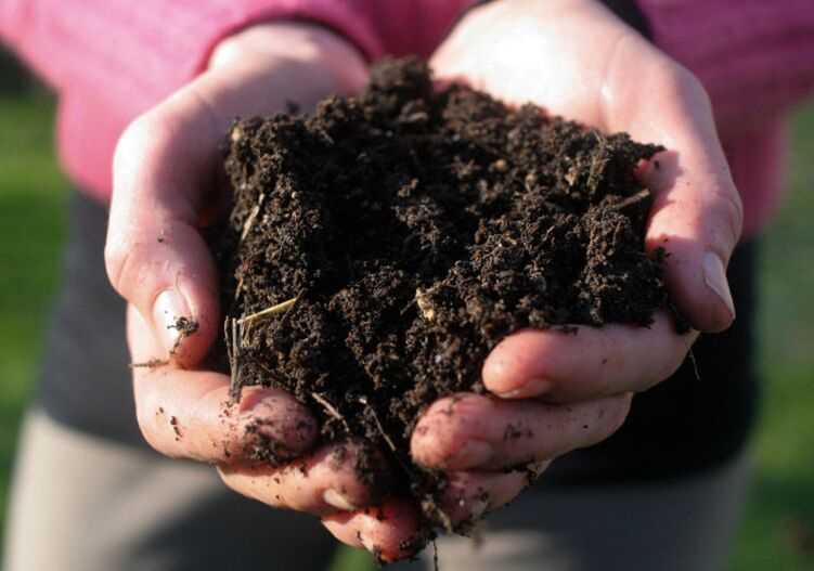 soil handling as a cause of parasitic infections