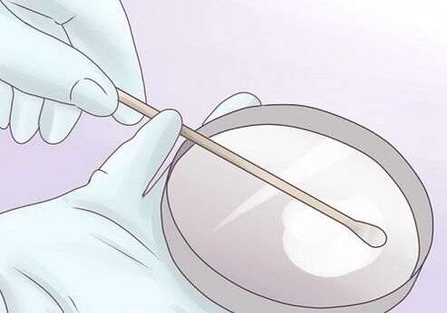 smear to detect parasites